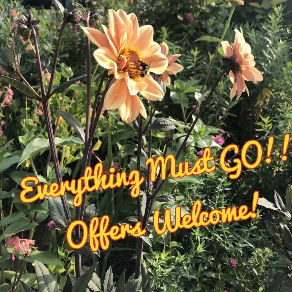 Like an Item? Leave an Offer!!